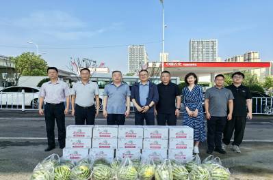 市委副秘書長、市城市更新和城市建設總指揮部辦公室執行主任姜德志帶隊調研重慶高架路工程